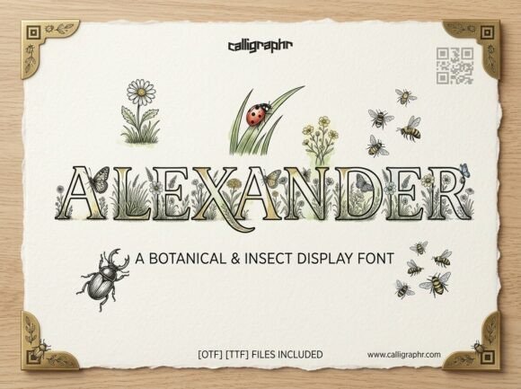 Alexander Font - Preview 2