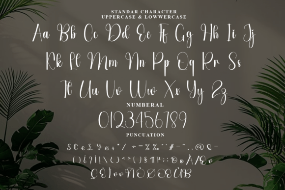 Authentics Font - Preview 5