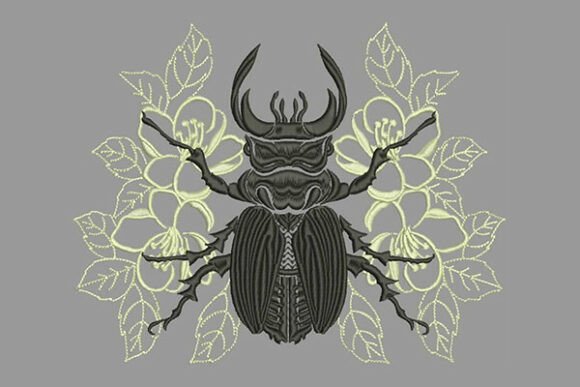 Beetle