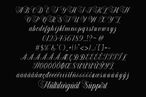 Blorivelle Font - Preview 6