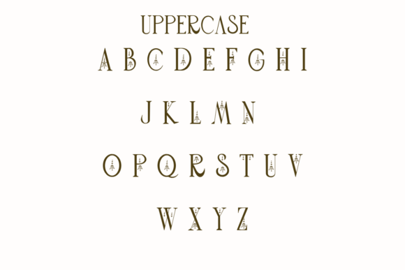 Boho Celestial Font - Preview 1