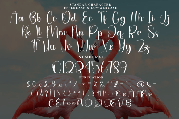 Flamingo Font - Preview 5