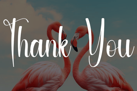 Flamingo Font - Preview 6