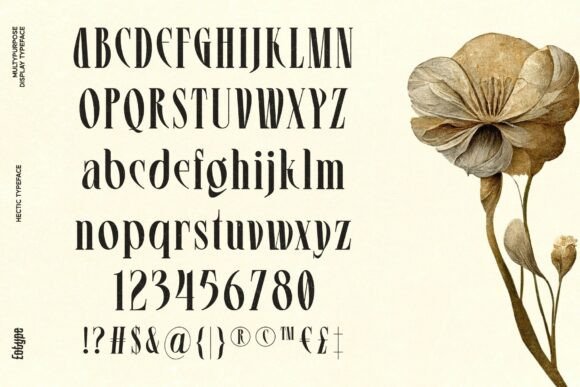 Hectic Font - Preview 5
