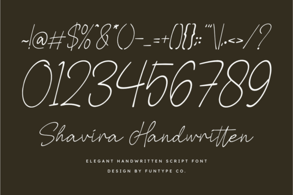 Shavira Handwritten Font PNG with transparent background - Preview 2