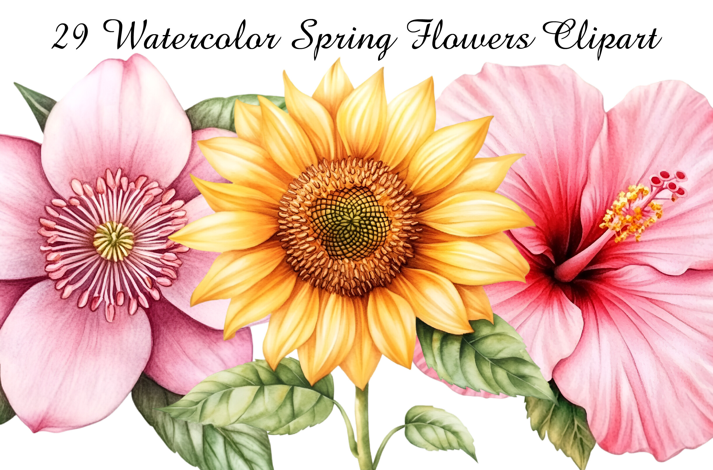 Watercolor Spring Flowers Clipart Graphic by GatewayDesign · Creative ...