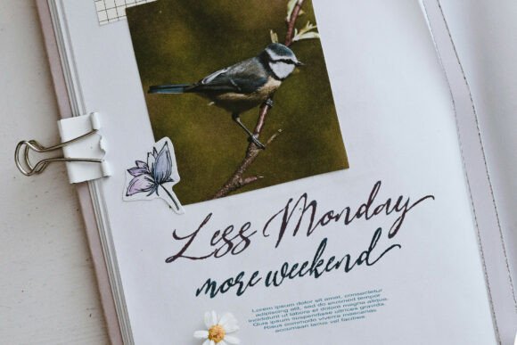 Bird Life Font - Preview 5