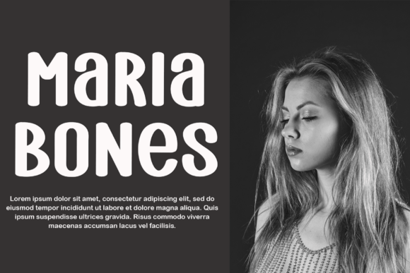 Blondie Series Font - Preview 2