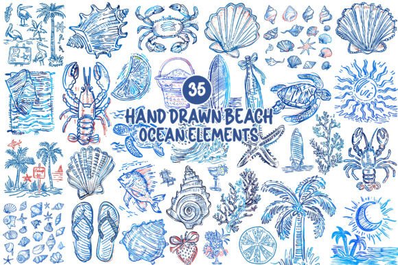 Hand Drawn Beach Ocean Elements Graphic by SinaCreation · Creative Fabrica