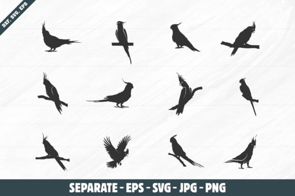 Cockatiel Bird Silhouette Set.