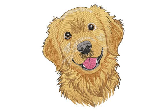 Golden Retriever Dog