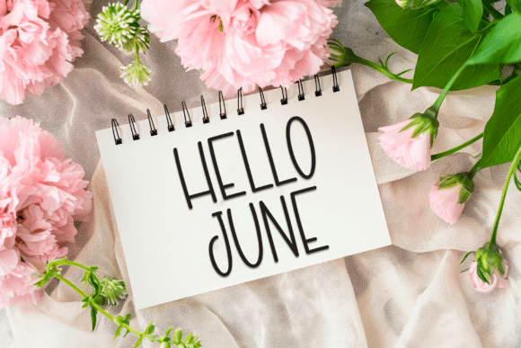 Peach Blossom Font PNG with transparent background - Preview 3