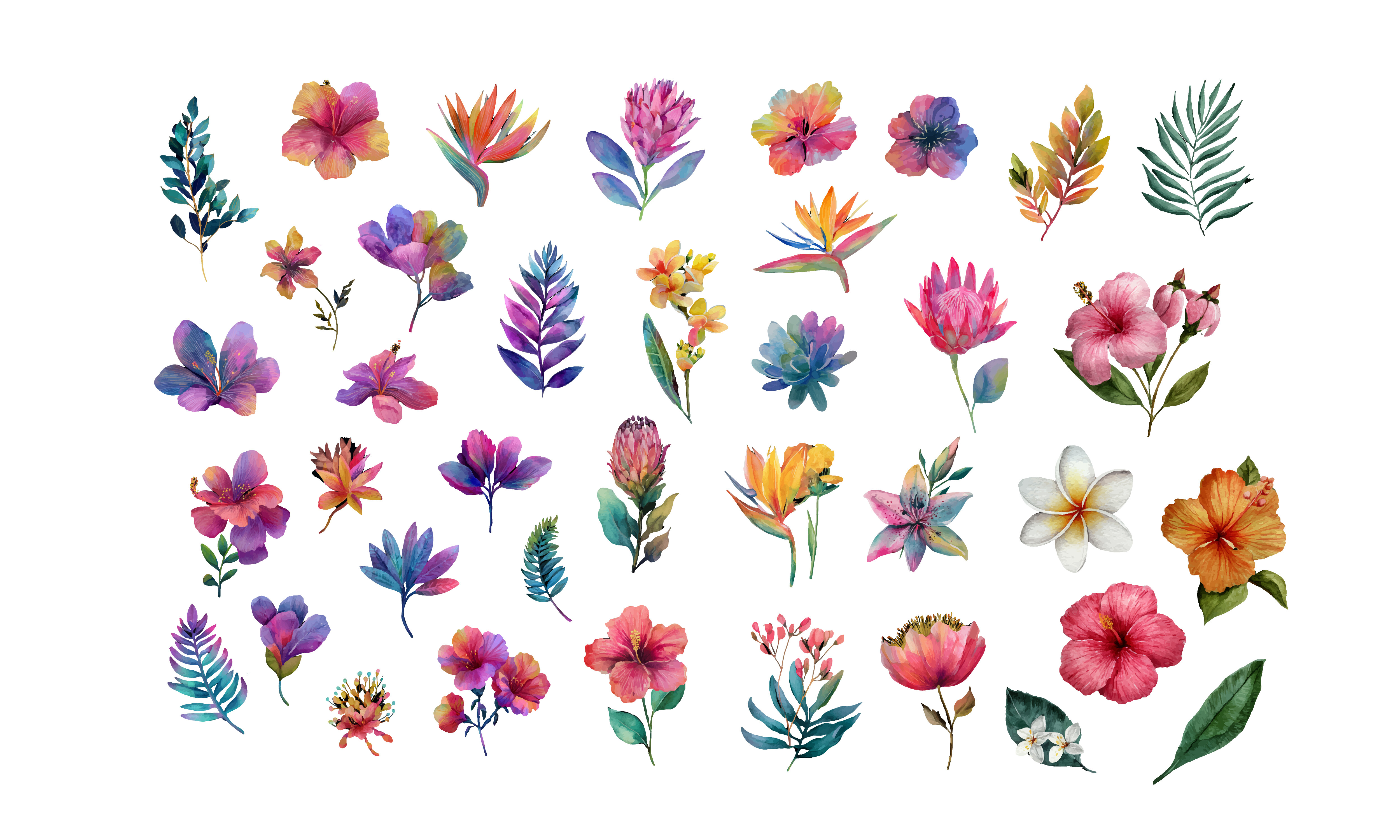 Watercolor Tropical Flowers Vector Graphic by Nayem Khan · Creative Fabrica
