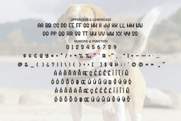 Beagle Font - Preview 6