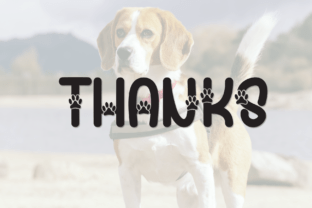 Beagle Font by Misterletter.co · Creative Fabrica