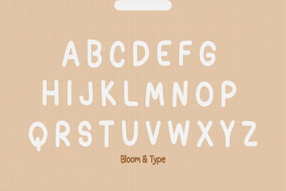 Bhatoolika Font - Preview 2