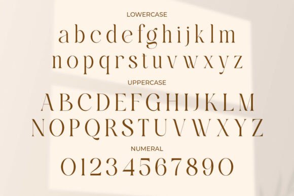 Reglica Font PNG with transparent background - Preview 3