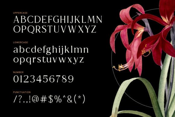 Astranala Font - Preview 1