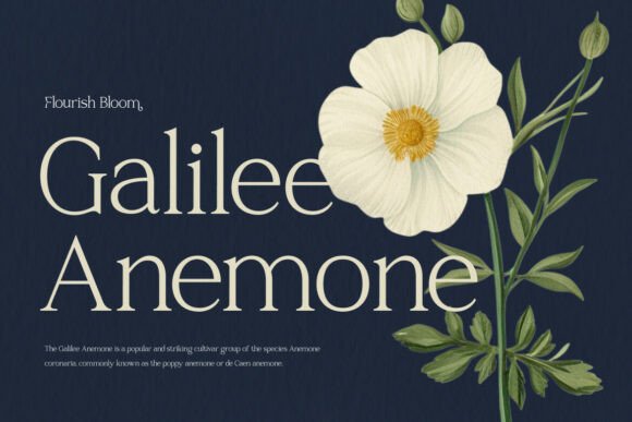 Raveny Font font preview - 1