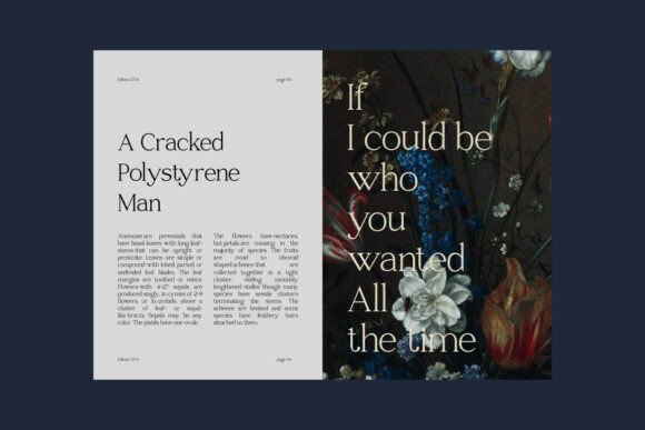 Raveny Font font preview - 3