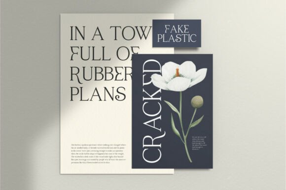 Raveny Font font preview - 4