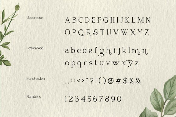 Raveny Font font preview - 6
