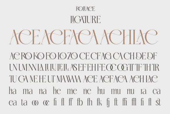 Roliace - Modern Classy Serif Font PNG with transparent background - Preview 5