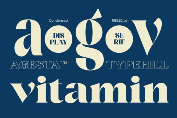 Agesta Serif Font - Preview 3