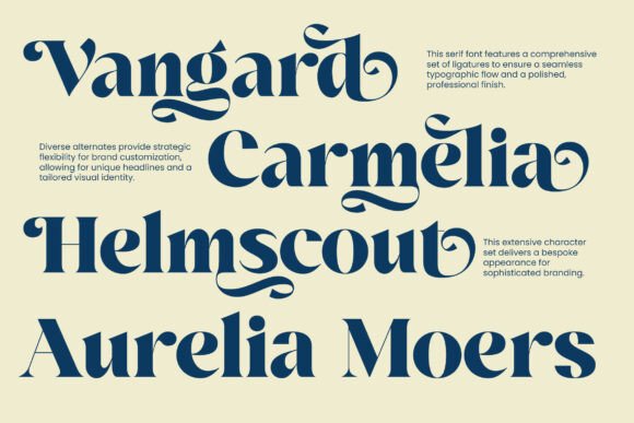 Agesta Serif Font - Preview 4