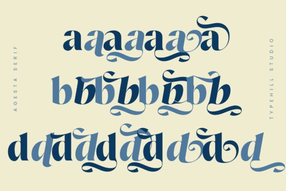 Agesta Serif Font - Preview 5
