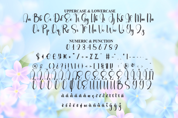 Beautiful Font - Preview 6