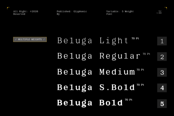 Beluga Mono Font - Preview 2