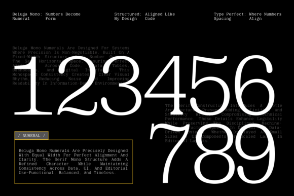 Beluga Mono Font - Preview 3
