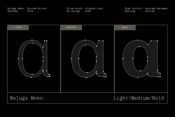 Beluga Mono Font - Preview 4