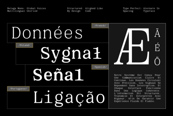Beluga Mono Font - Preview 5