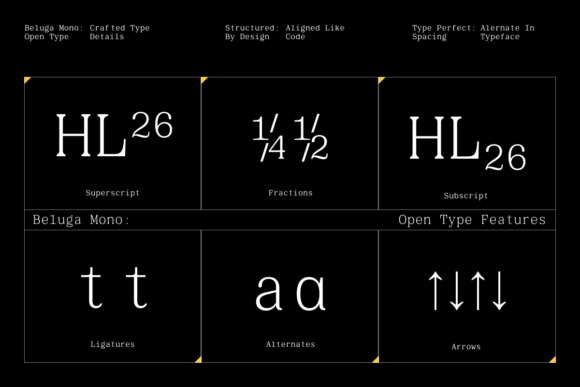 Beluga Mono Font - Preview 6