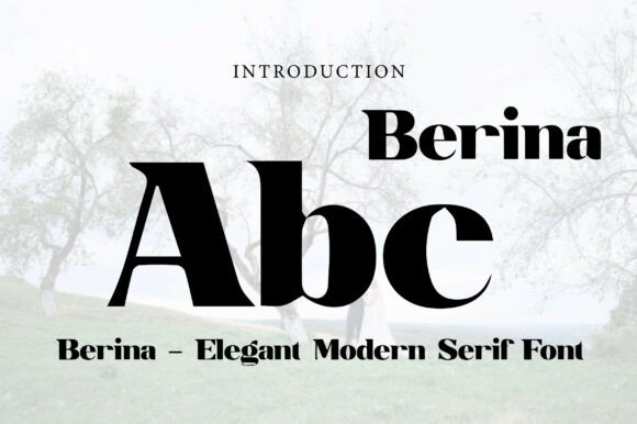 Berina Font - Preview 1