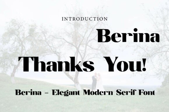 Berina Font - Preview 2