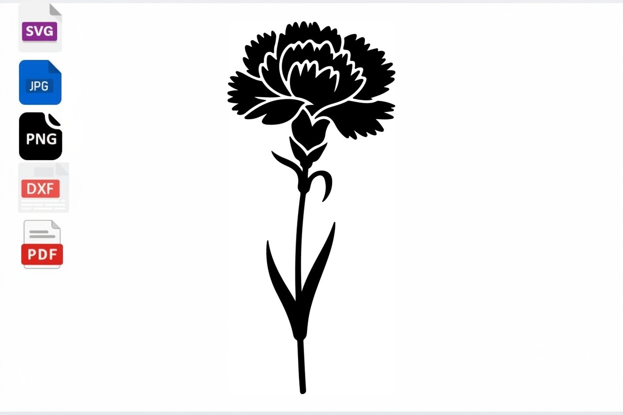 Carnation Flower SVG Cut File Floral Graphic by mhrana730 · Creative ...