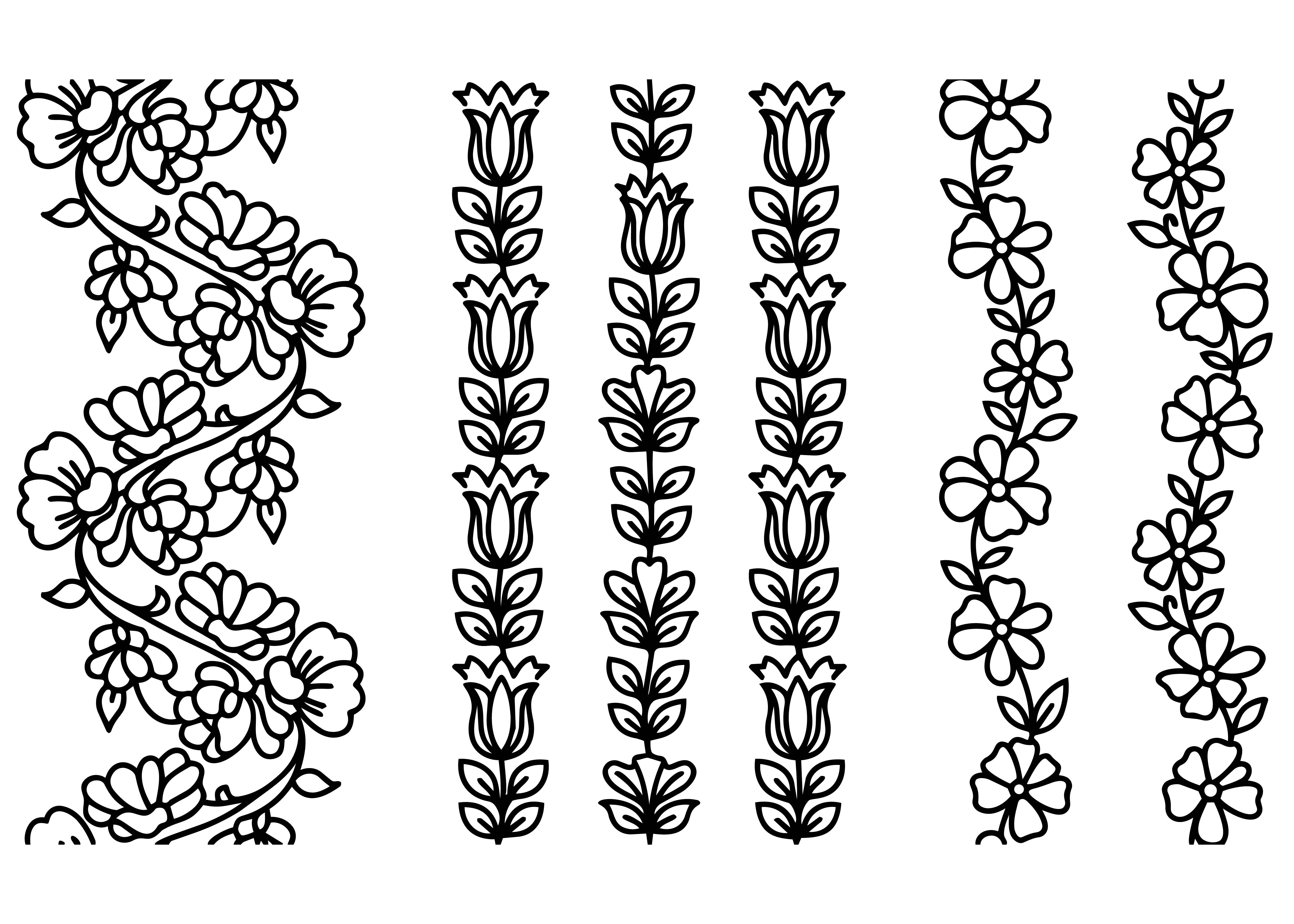 Floral Border Vector Set