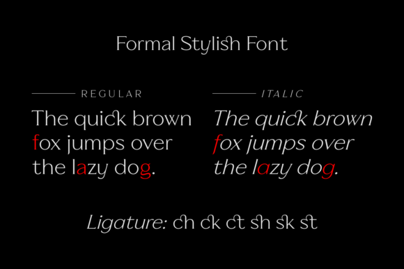 Formal Stylish Font - Preview 6