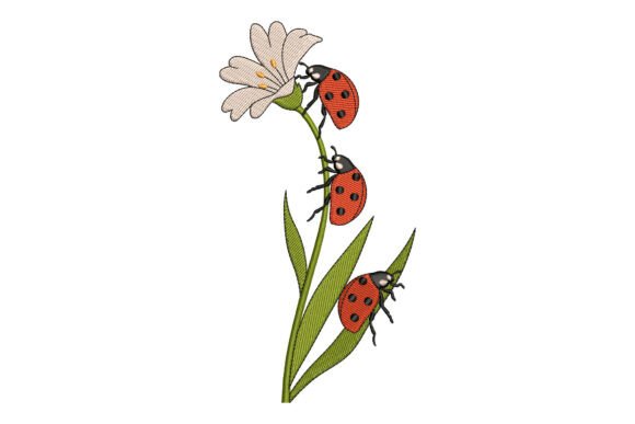 Ladybug on a Flower