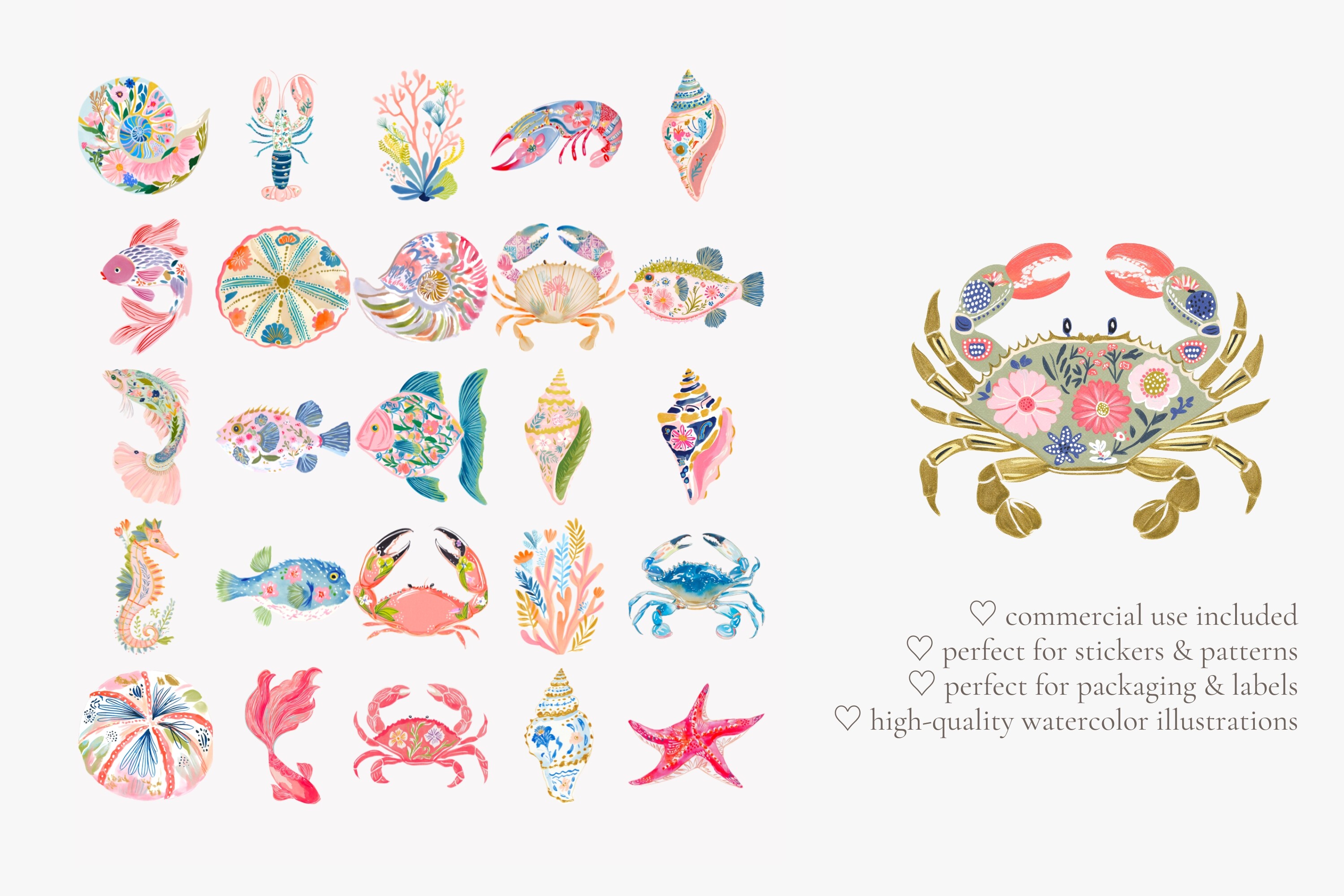 Tropical Reef Clipart Set - photo 6