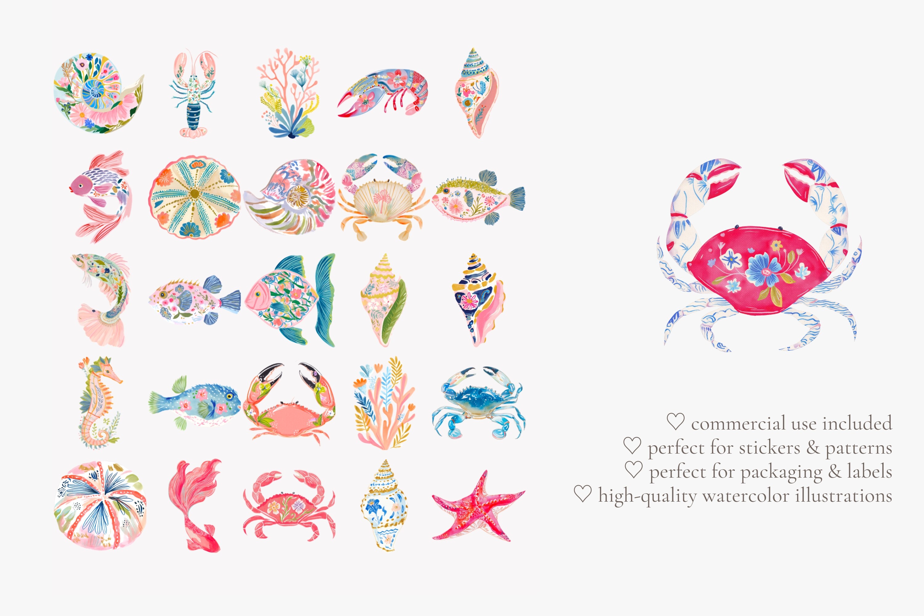 Tropical Reef Clipart Set - photo 7