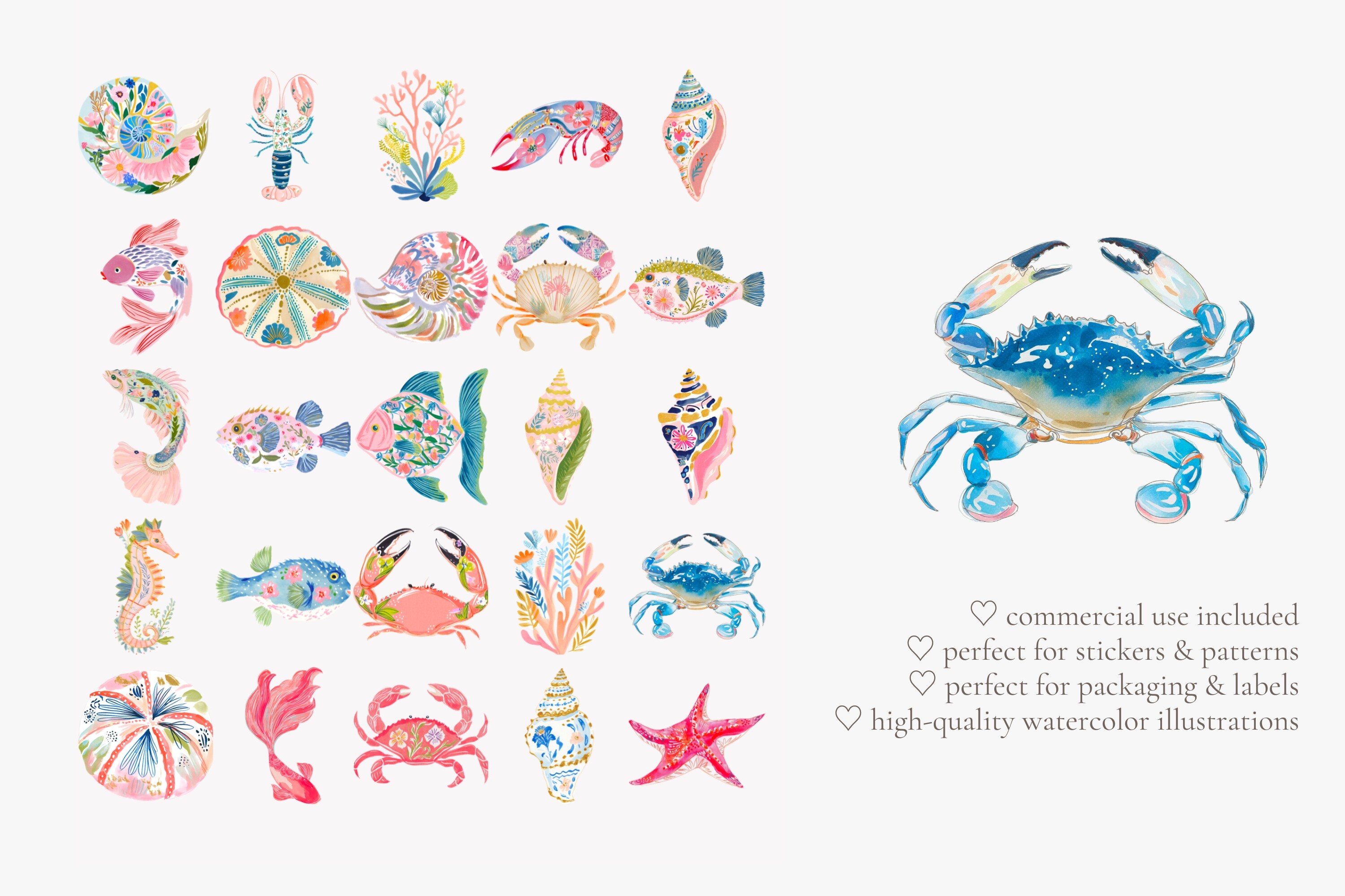Tropical Reef Clipart Set - photo 8