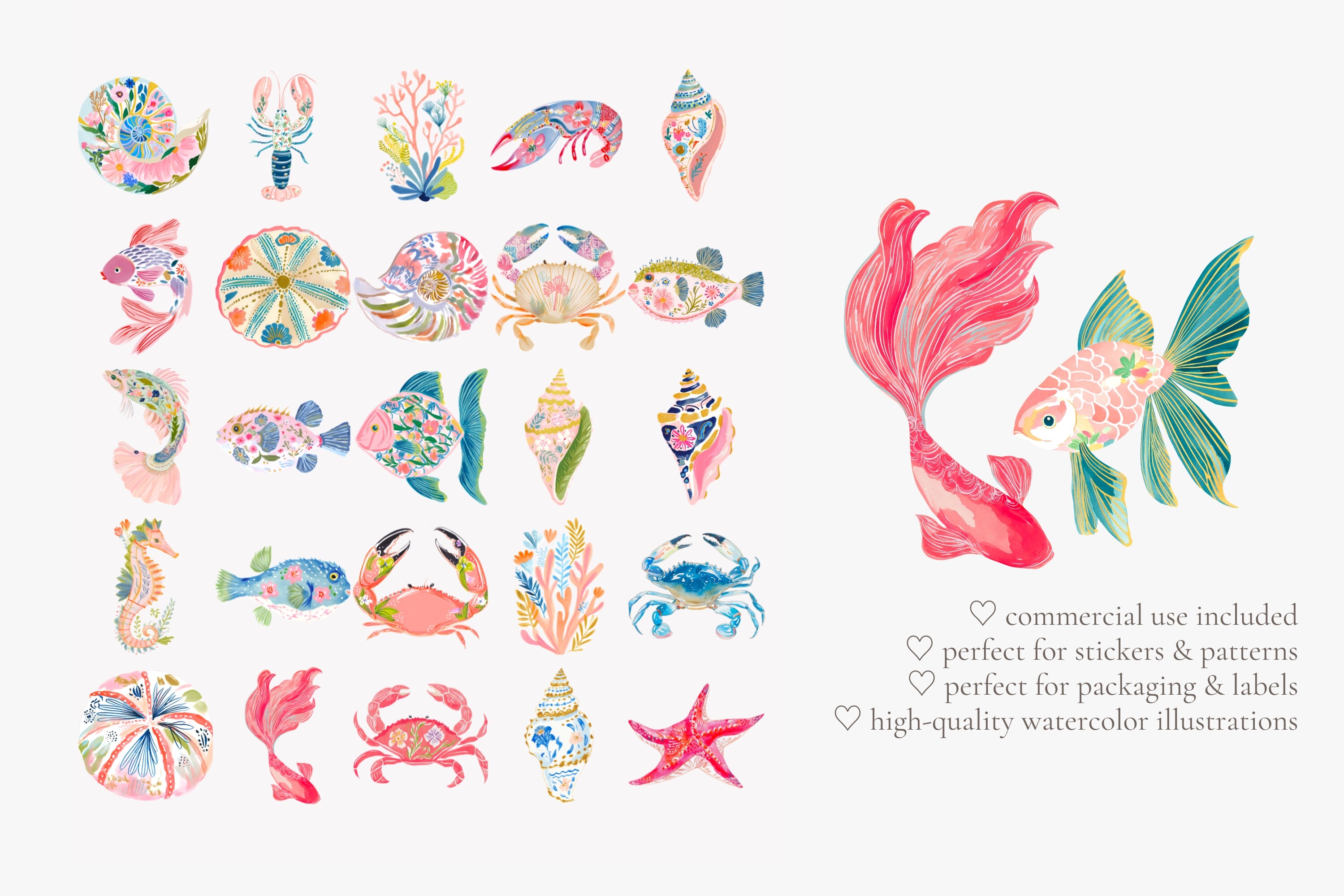 Tropical Reef Clipart Set - photo 9