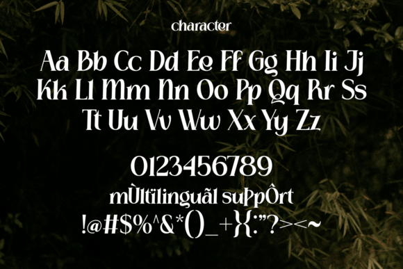 Beinora Font - Preview 4