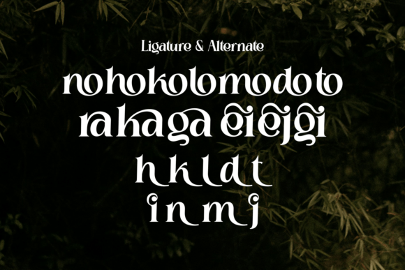 Beinora Font - Preview 5