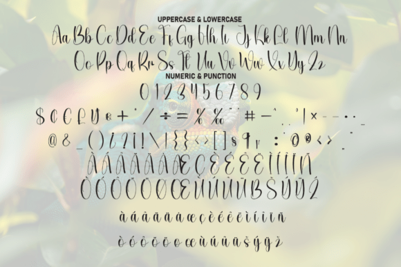 Cameleon Font - Preview 6