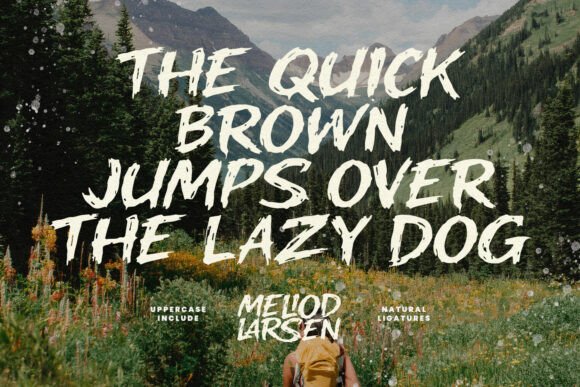 Meliod Larsen Font PNG with transparent background - Preview 4